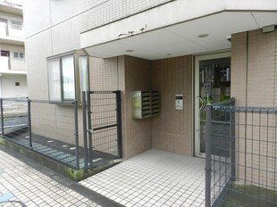 西新井駅 徒歩12分 3階の物件内観写真